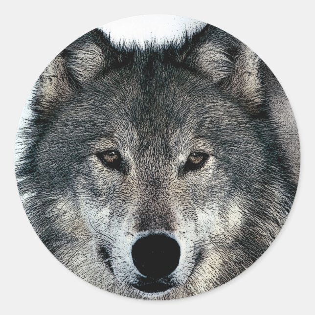Sticker Rond Loup gris (Devant)