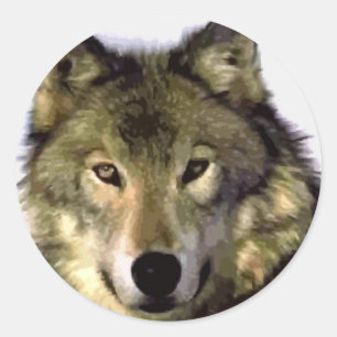 Sticker Rond Loup gris