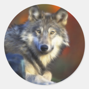 Sticker Rond Loup gris, photo numérique d'espèce menacée