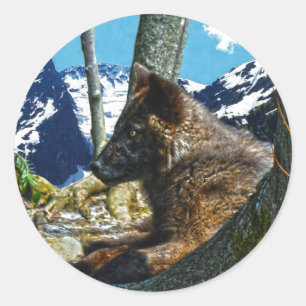Sticker Rond Loup noir de montagne reposant par les arbres Art 
