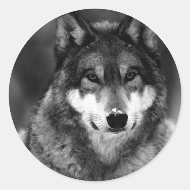 Sticker Rond Loup noir et blanc (Devant)