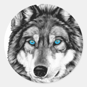 Sticker Rond Loup peint niveaux de gris yeux bleus