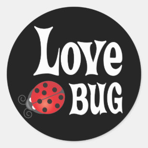 Sticker Rond Love Bug - Ladybug
