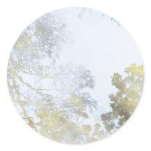 Lueur dorée à larges feuilles