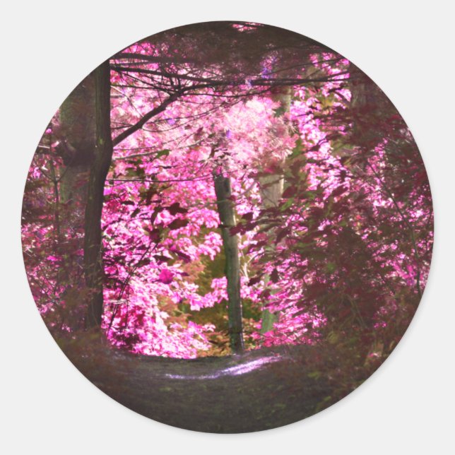Sticker Rond Lumière Sur Le Chemin Du Bois Nature (Devant)