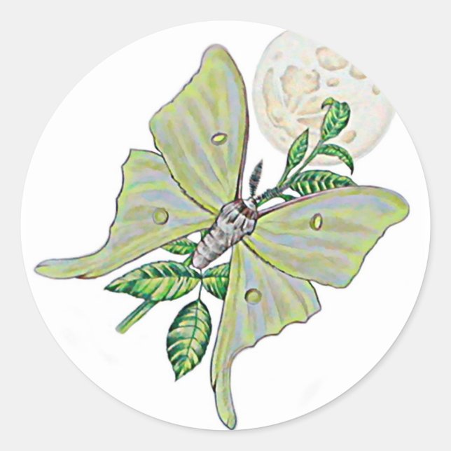 Sticker Rond Luna Moth (Devant)