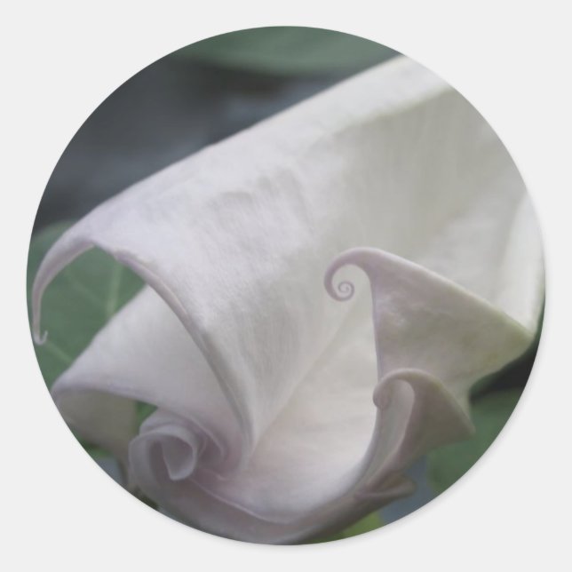 Sticker Rond Lune (Devant)