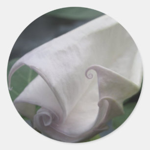 Sticker Rond Lune