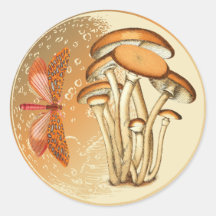 Lune de champignons papillon orange