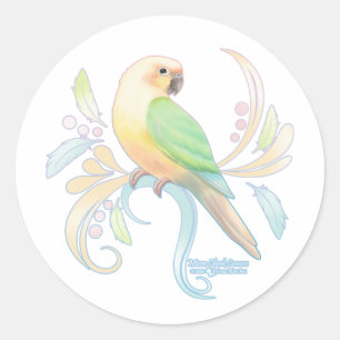 Sticker Rond Lune - Jouer Conure