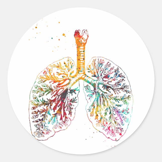 Sticker Rond Lung anatomical (Devant)