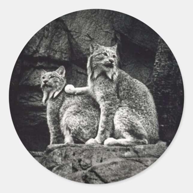 Sticker Rond Lynx (Devant)
