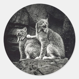 Sticker Rond Lynx