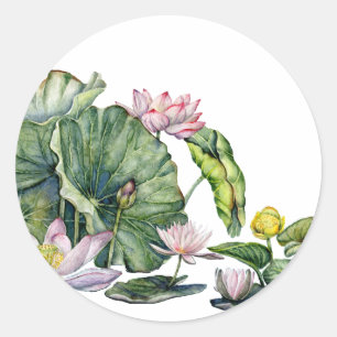 Sticker Rond Lys d'eau japonais et fleurs de Lotus