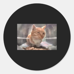 Sticker Rond M. Fresh Chat Mème Côté Oeil Cat