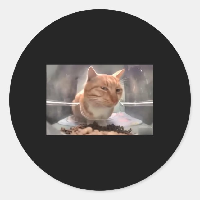 Sticker Rond M. Fresh Chat Mème Côté Oeil Cat (Devant)
