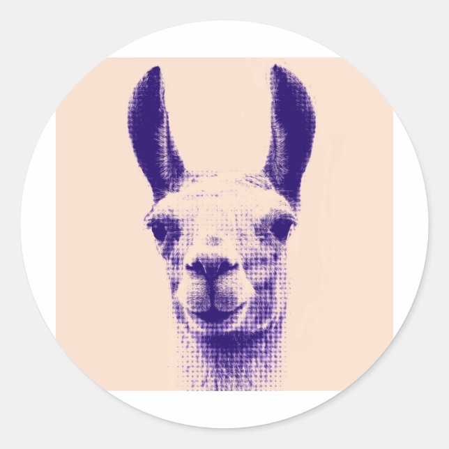 Sticker Rond M. Llama (Devant)