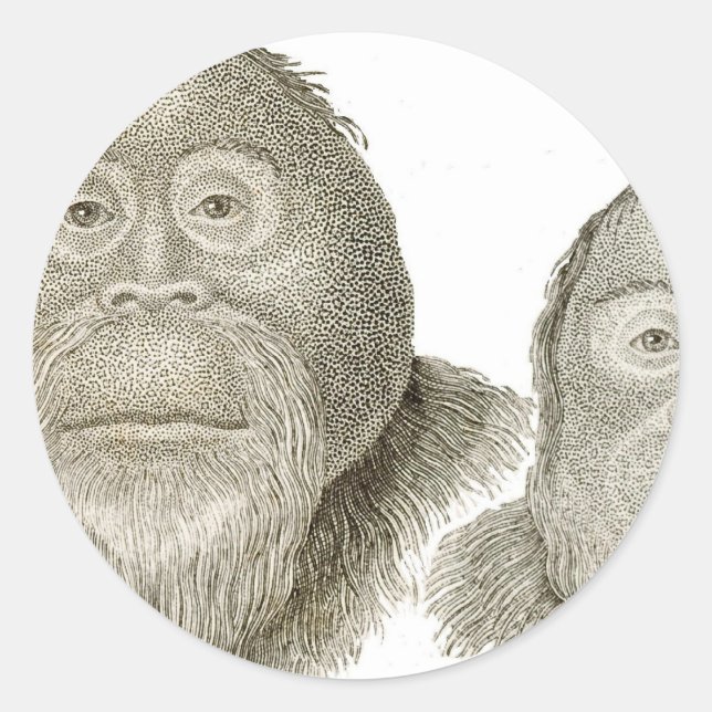 Sticker Rond Ma & Pa - LE COUPLE BABOON (Devant)