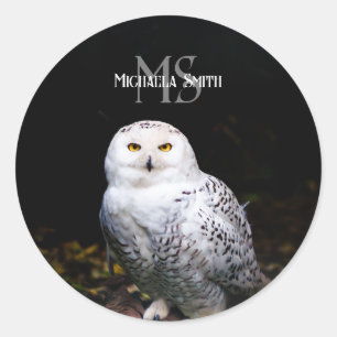 Sticker Rond Magnifique monogramme personnalisé de nom de hibou