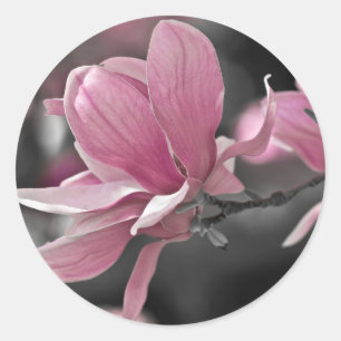 Sticker Rond Magnolia à assiette japonaise rose