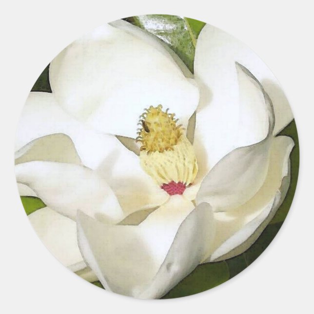 Sticker Rond Magnolia White (Devant)