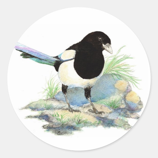 Sticker Rond Magpie - Aquarelle Oiseau (Devant)