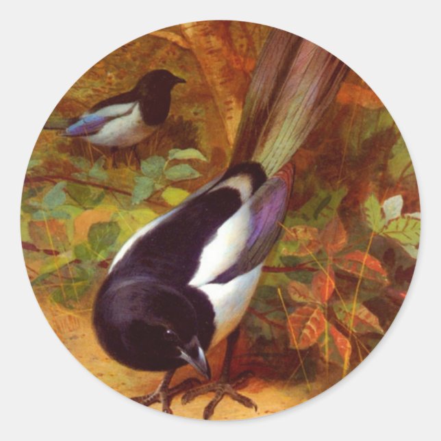 Sticker Rond Magpies (Devant)