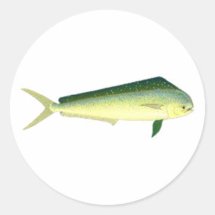 Sticker Rond Mahi Mahi - art de poissons de dauphin