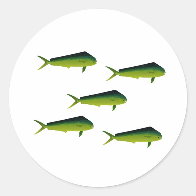 Sticker Rond Mahi Mahi Poisson - Dauphin - Dorado (Devant)