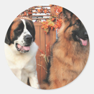 Sticker Rond Main-Berger Mae St Bernard Photo-3 d'occasion