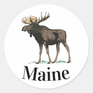 Sticker Rond Maine Moose
