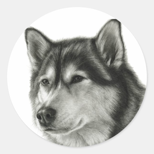 Sticker Rond Malamute d'Alaska (Devant)