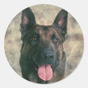 Sticker Rond Malinois - Berger belge -Mechelaar -Maligator