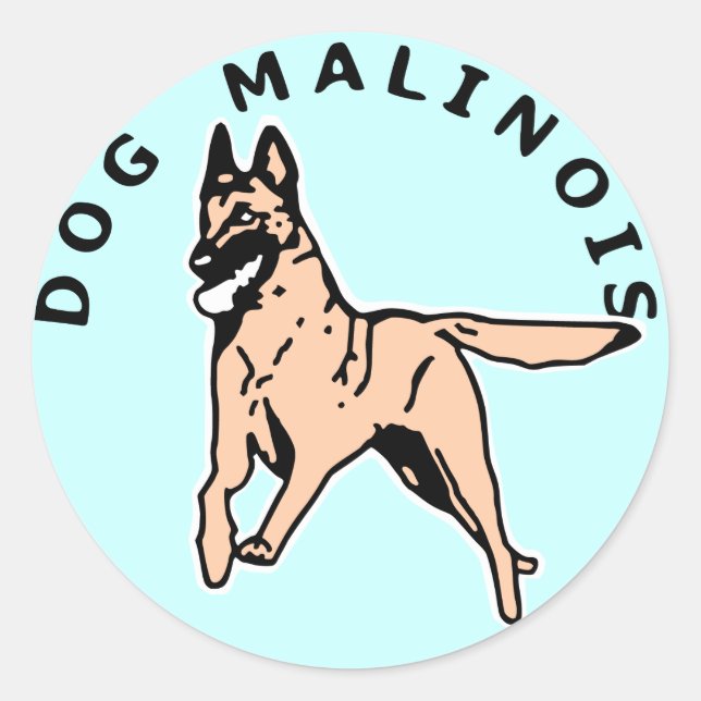 Sticker Rond malinois courrant (Devant)