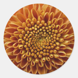 Sticker Rond Maman le mot