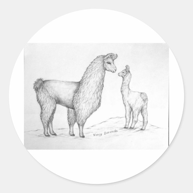 Sticker Rond Maman Llama et Cria (Devant)
