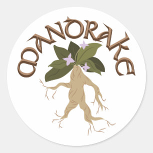 Sticker Rond Mandrake