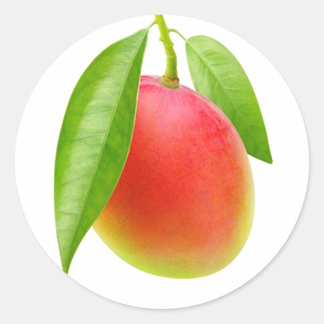 Sticker Rond Mango (Devant)