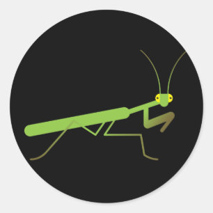 Sticker Rond Mante priante