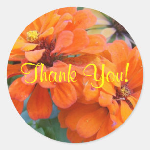 Sticker Rond Marigolds orange