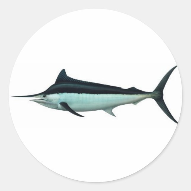 Sticker Rond Marlin (Devant)