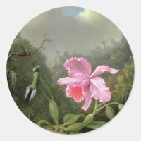 Martin Johnson Heade Orchid Et Hummingbirds