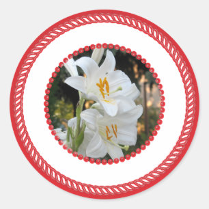 Sticker Rond Mary's Lily, Jesse Tree