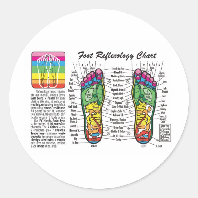 Sticker Rond Massage-Réflexologie (Devant)