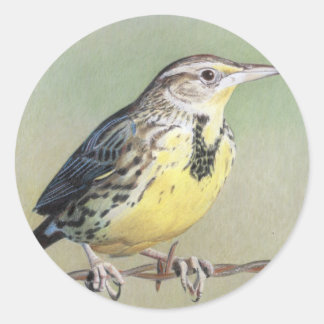 Sticker Rond Meadowlark occidental