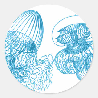 Sticker Rond Méduse