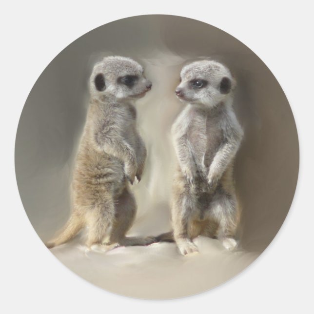 Sticker Rond Meerkat bébé jumeaux (Devant)