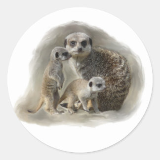 Sticker Rond meerkats