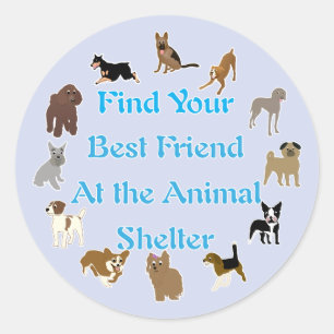 Sticker Rond Meilleur ami