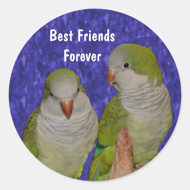 Sticker Rond Meilleur Amis Cute Oiseaux Amitié (Devant)